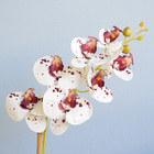 Arranjo De Orquídea De Silicone Tigre No Vaso Fendi | Formosi